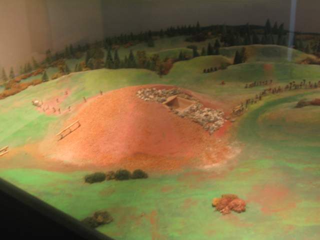 IMG_0147.jpg