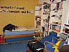 IMG_0255.jpg IMG_0255.jpg