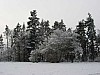 IMG_0304.jpg IMG_0304.jpg