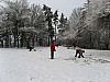 IMG_0306.jpg IMG_0306.jpg