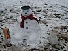 IMG_0315.jpg IMG_0315.jpg