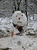 IMG_0319.jpg IMG_0319.jpg