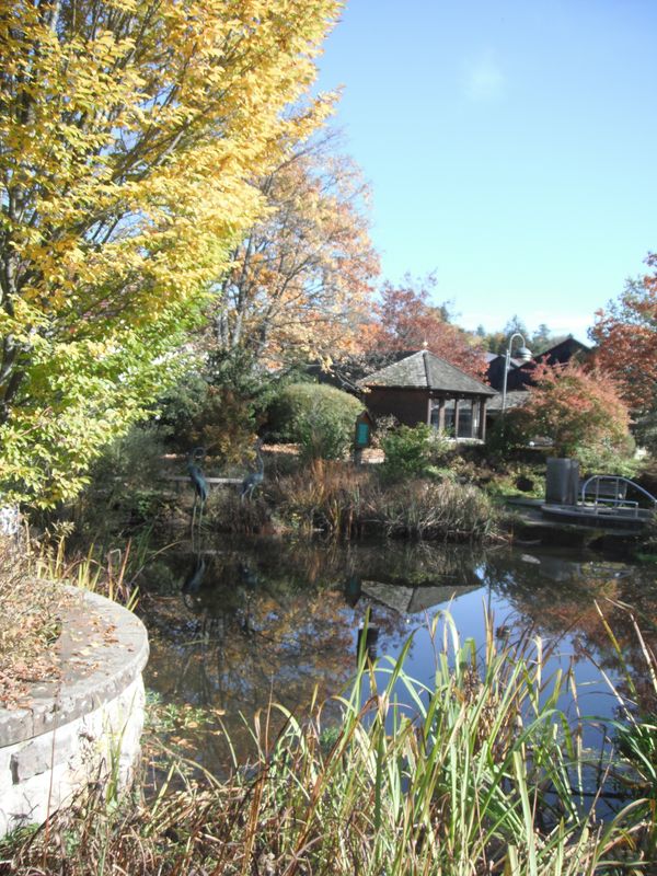 DSCF3490.JPG
