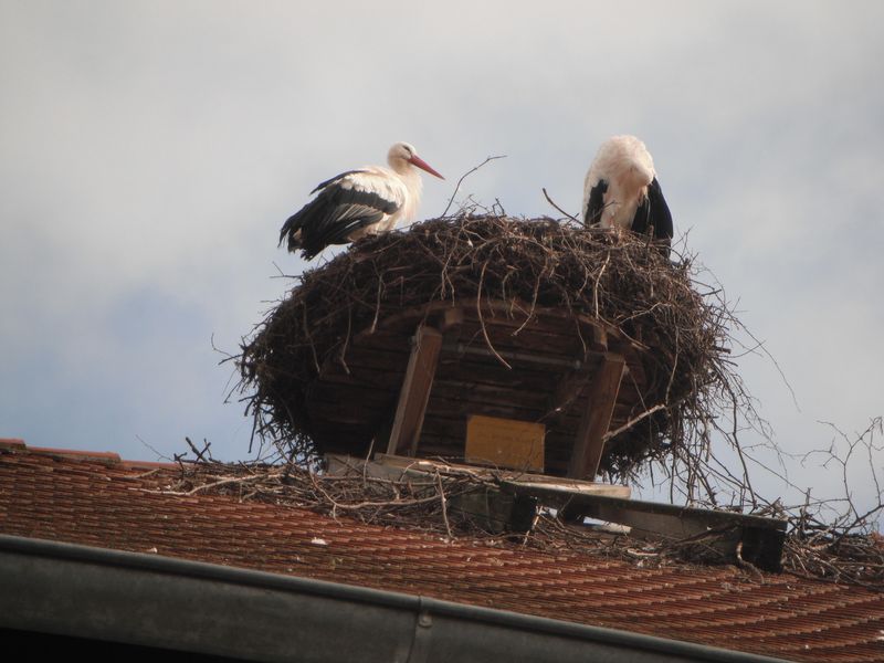 DSCF3578.JPG