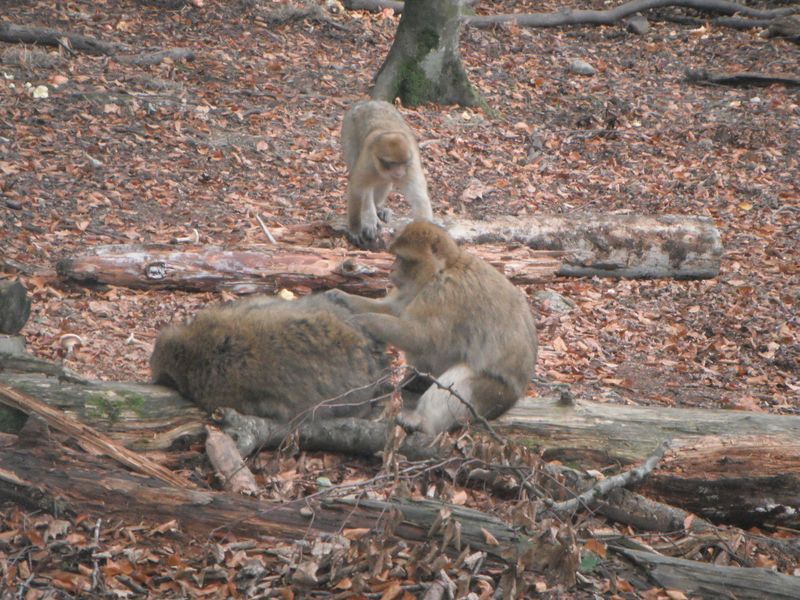 DSCF3585.JPG