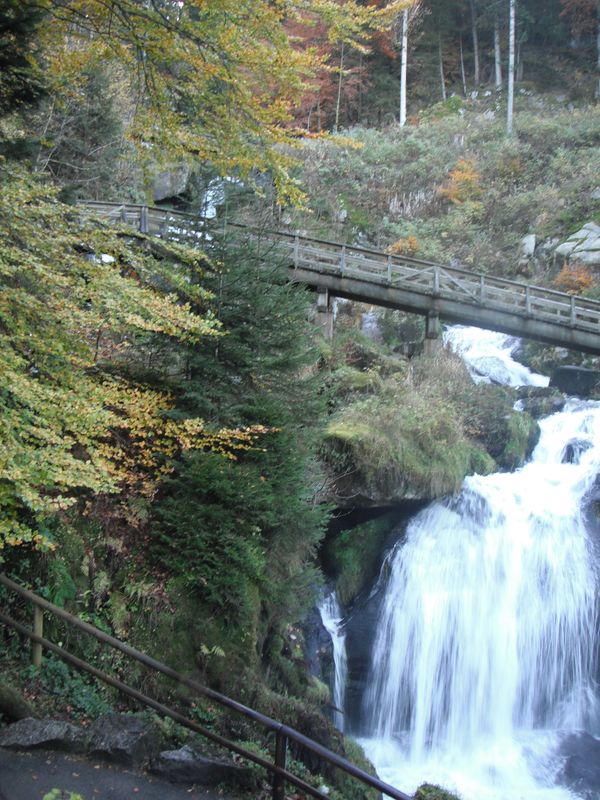 DSCF3814.JPG