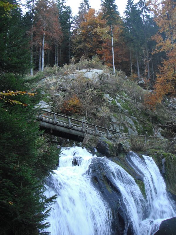 DSCF3815.JPG