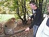DSCF3583.JPG DSCF3583.JPG