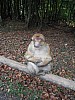 DSCF3587.JPG DSCF3587.JPG