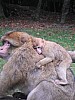 DSCF3591.JPG DSCF3591.JPG