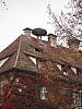 DSCF3620.JPG DSCF3620.JPG
