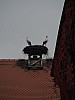 DSCF3621.JPG DSCF3621.JPG