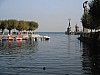 DSCF3634.JPG DSCF3634.JPG