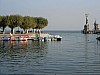 DSCF3637.JPG DSCF3637.JPG