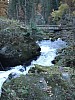 DSCF3811.JPG DSCF3811.JPG