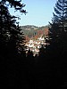 DSCF3813.JPG DSCF3813.JPG