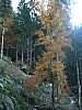 DSCF3816.JPG DSCF3816.JPG
