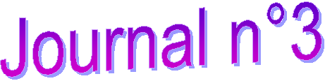Journal n3