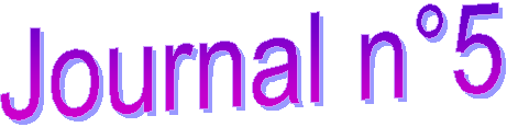 Journal n5