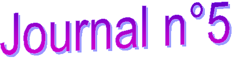 Journal n5