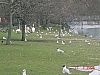 londres 2006 53.JPG